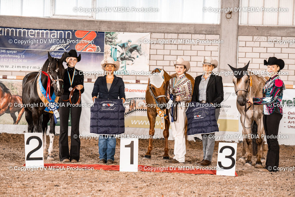 ZH100252 | dv-media-shop - Realisiert mit Pictrs.com