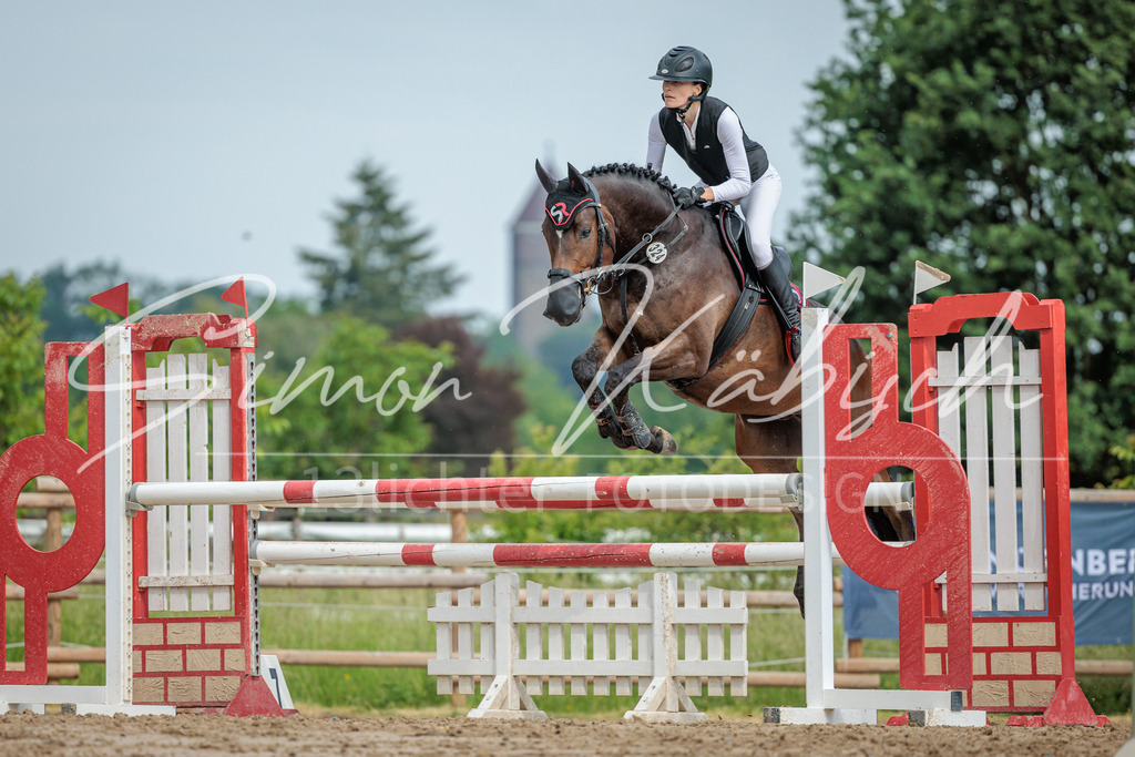 20260530-_3LI2796 | Tierfotografie Pferde, Hunde, Katzen, Haustiere.
Turnierfotografie Reitturniere, Reiten, Springreiten, Dressur in Hanau, dem Main-Kinzig-Kreis und dem Rhein-Main- Gebiet um Frankfurt
