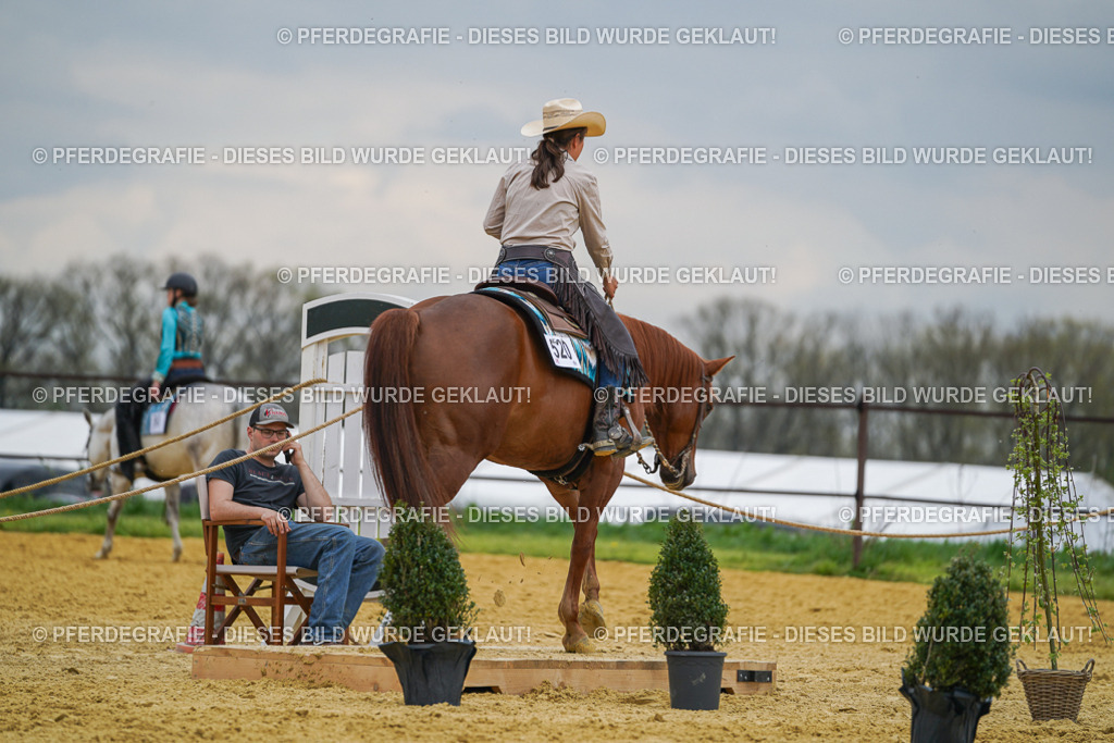 DSC07247 | Pferdegrafie