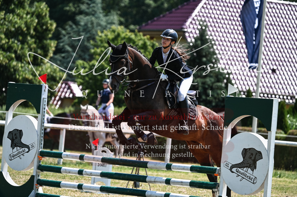 DSC_0434 | Pferde- und Turnierfotografie in Westsachsen. Pferdeportraits, Auftragszeichnungen und intuitive Kunst.