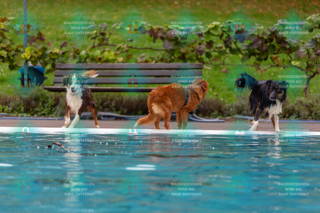 _HP_7105_1000o | HetPix, HetPix Fotodesign, Fotografie, Fotodesign, Webshop, Sportfotografie, Portraitfotografie, Onlineshop, Sportfotografie, Polch, Motorsportfotografie, Eventfotografie