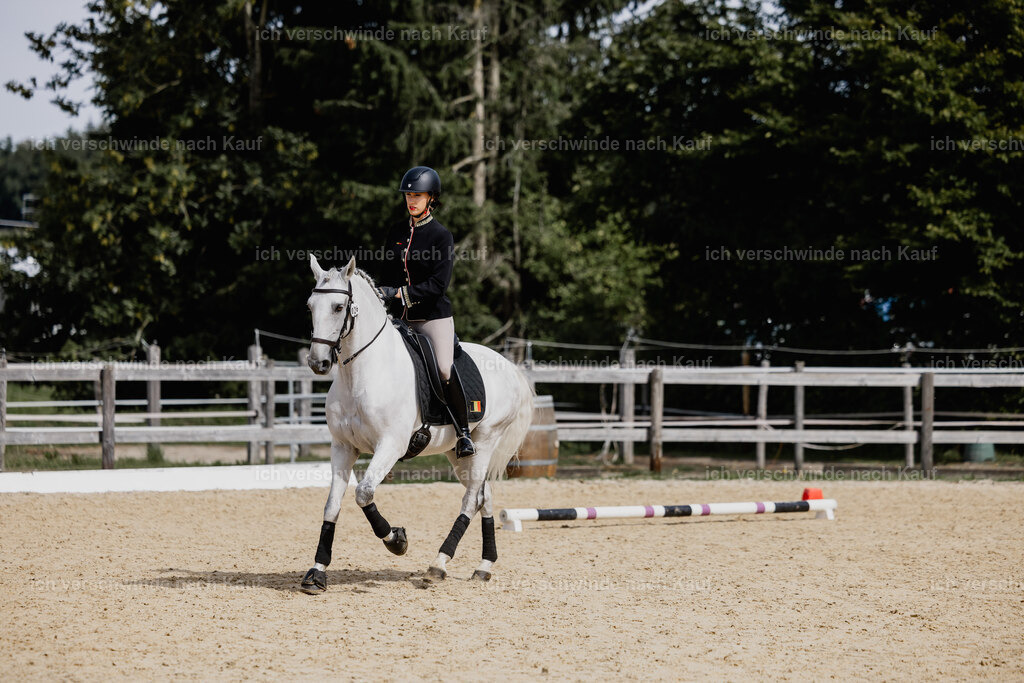 Virginie12FHC2025-20031 | working equitationturnier fotograf videograf stoibphotography marixx film working equitation deutschland reitsport turnierfotografie eventfotografie equestrian events