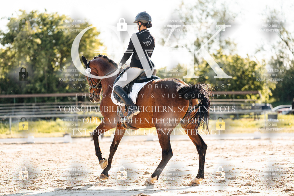 CK909853 | Turnierfotografie Pferdefotografie Trier Rheinland-Pfalz Pferdesport Reitsport Tierfotografie Sportfotografie Pferdevideo Pferdevideografie Equestrianvideography equestrianphotography  - Realisiert mit Pictrs.com