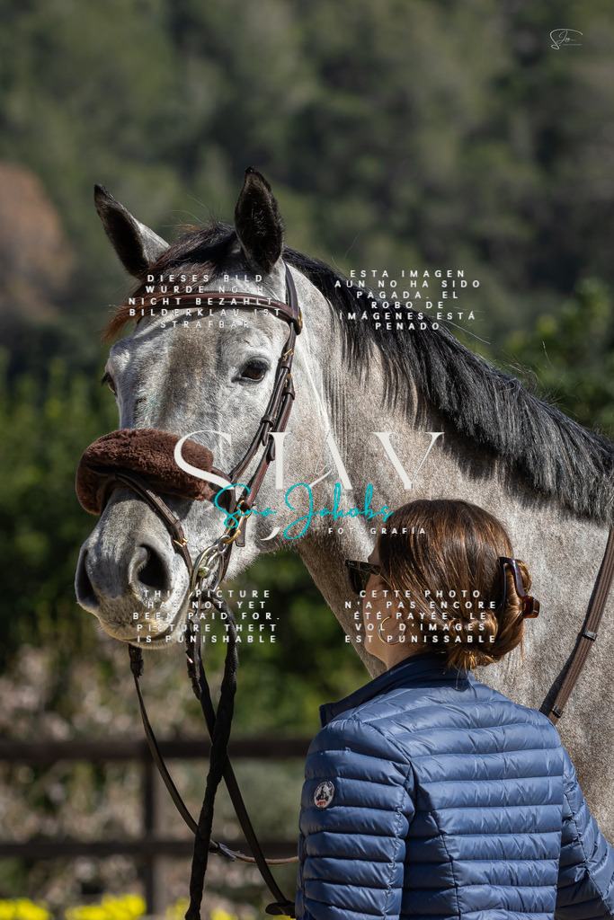 IMG_6492 | s-jay-photography - Realisiert mit Pictrs.com