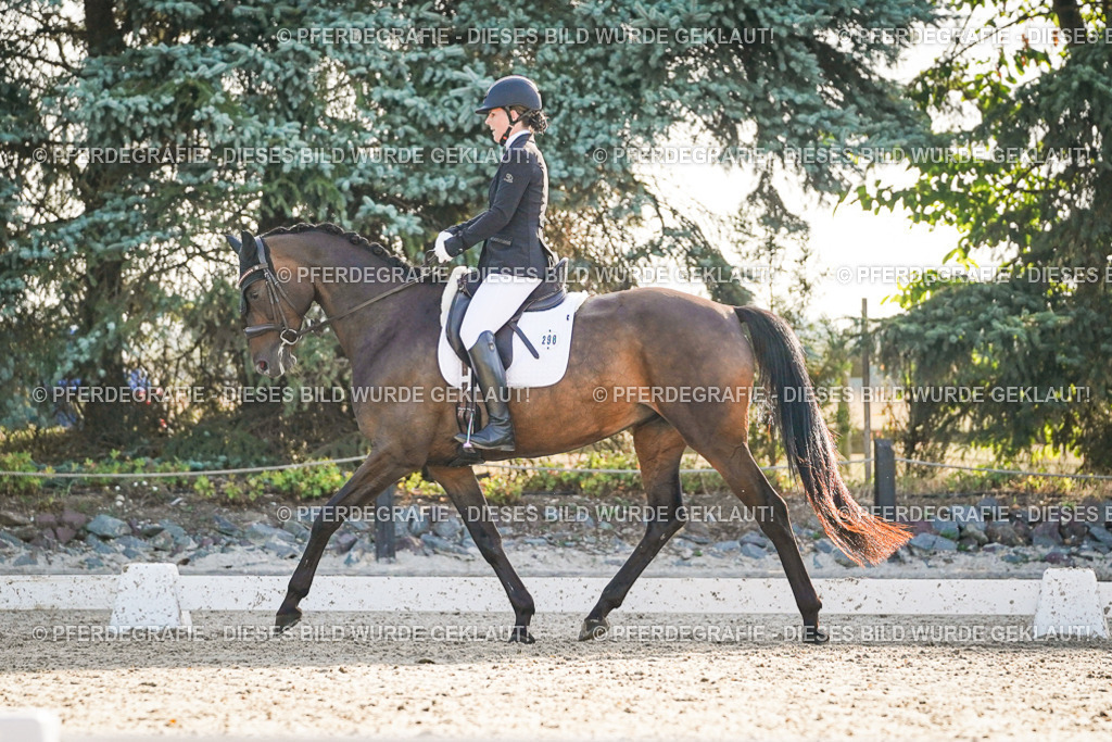 DSC08187 | Pferdegrafie