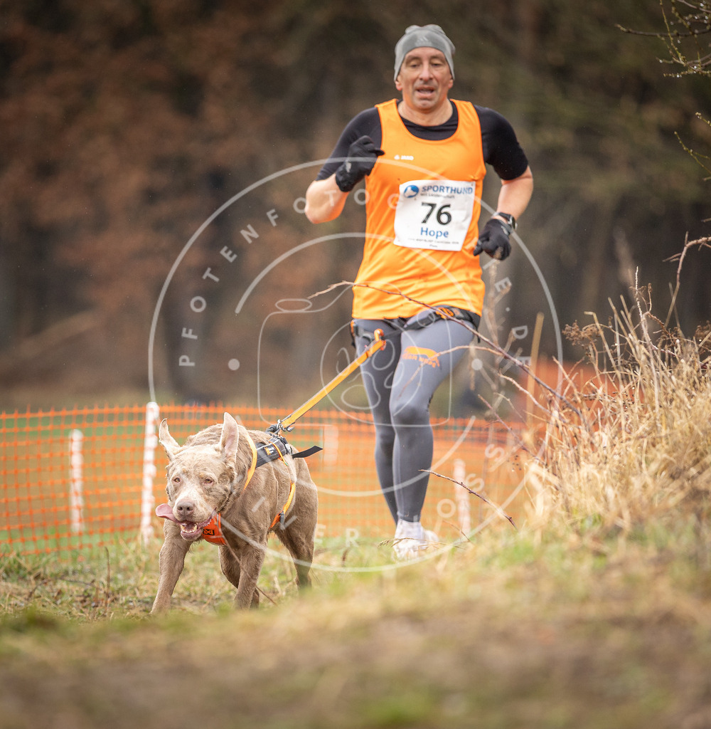 DV3A0288 | Hundefotografie, Tierfotograf, Pfotenfotografie, Fotoshooting Hund, Hunde Portrait, Hundesport, Hundeportraits, Heideshooting, Hunde, Sportfotograf, Hundefotograf, Turnierhundsport, THS,  - Realisiert mit Pictrs.com