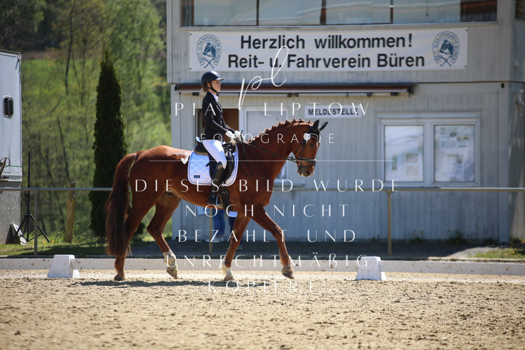 IMGT1344 | pl-fotografie