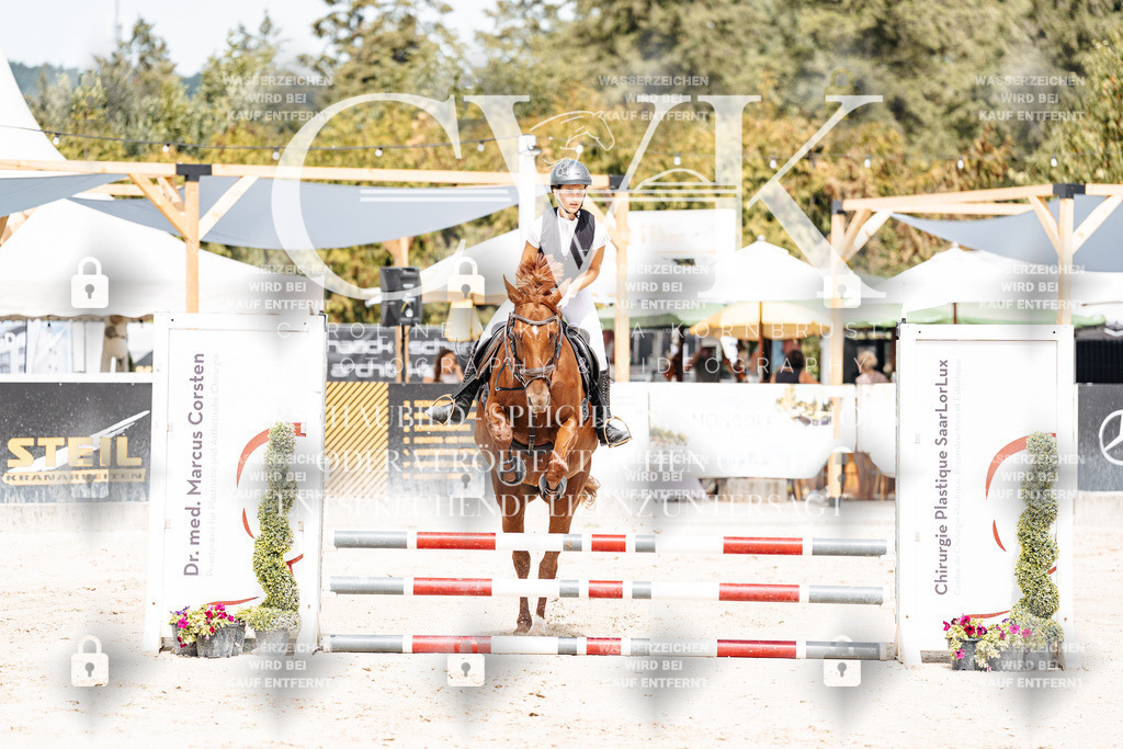 CK906389 | Turnierfotografie Pferdefotografie Trier Rheinland-Pfalz Pferdesport Reitsport Tierfotografie Sportfotografie Pferdevideo Pferdevideografie Equestrianvideography equestrianphotography  - Realisiert mit Pictrs.com