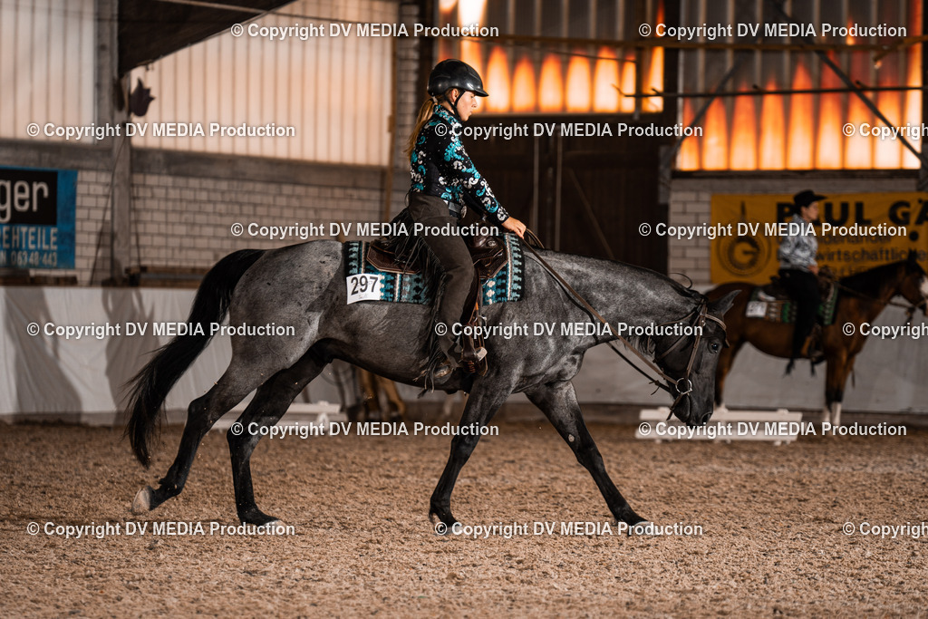 ZH100133 | dv-media-shop - Realisiert mit Pictrs.com