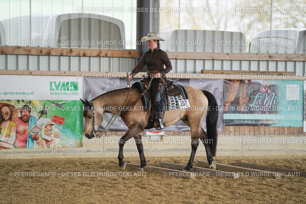 DSC00122 | Pferdegrafie