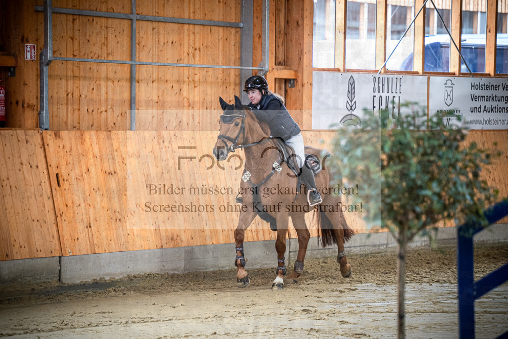DOS_0094 | Entdecke hochwertige Reitturnierfotos von Foto Oger. Professionell, emotional und authentisch – jetzt Lieblingsmomente im Shop bestellen.Deutschlandweite Turnierfotografie. - Realisiert mit Pictrs.com