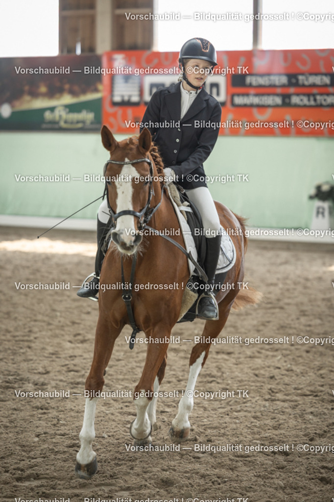 _D5A5541 | Emotionale Pferde- & People-Fotografie rund um Heidelberg, Leimen & Umgebung. Natürliche Fotos von Pferd, Mensch & Familie. Jetzt Termin sichern!