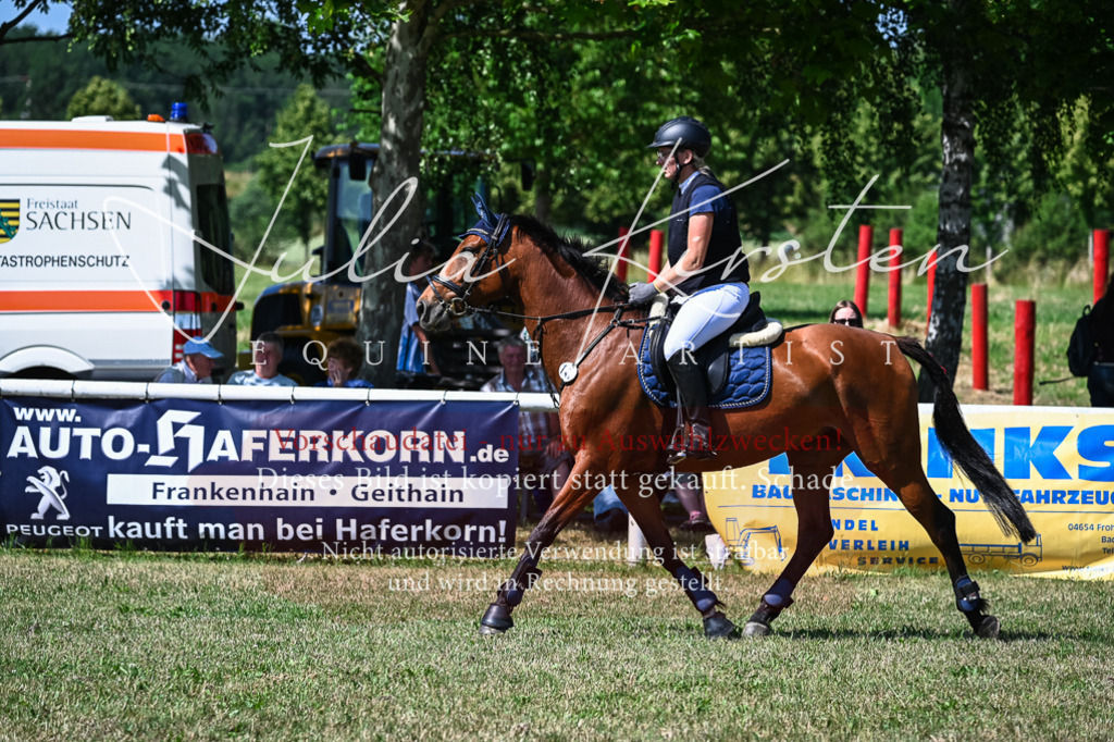 DSC_1419 | Pferde- und Turnierfotografie in Westsachsen. Pferdeportraits, Auftragszeichnungen und intuitive Kunst.