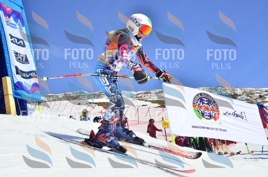 _ELE0362 | holidayphoto