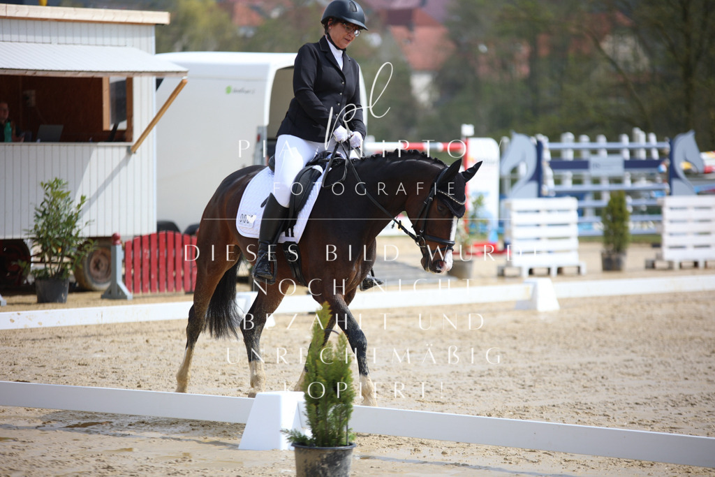 IMGT2568 | pl-fotografie