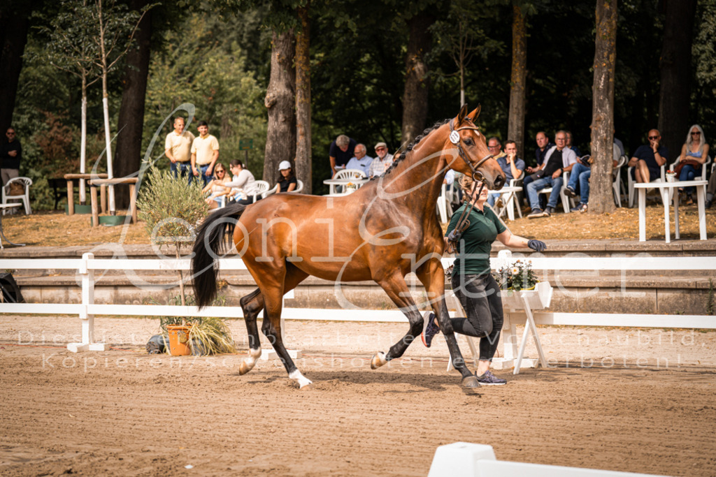 4.Fr00091 | Leoni Ertmer Photography - Realisiert mit Pictrs.com