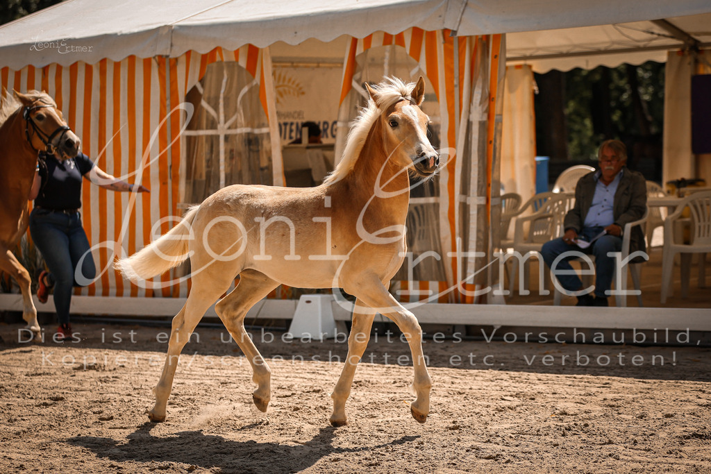 06.DoH00039 | Leoni Ertmer Photography - Realisiert mit Pictrs.com