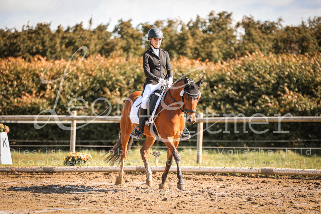 07.SoDrE00261 | Leoni Ertmer Photography - Realisiert mit Pictrs.com