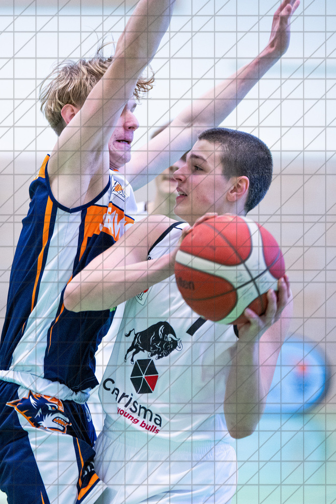 JBBL 24/25 | 19.01.2025 | Charisma Young Bulls vs. Rostock Seawolves | JBBL 24/25 | 19.01.2025 | Charisma Young Bulls vs. Rostock Seawolves - - - - - CREDIT, www.bullenfotos.de, Martin König, Hörner Weg 40, D-49078 Osnabrück, +4917663732967, Nutzung und Weitergabe nur zu den vereinbarten Zwecken. Presseanfragen an Urheber. Alle Rechte beim Urheber. - - - - - - Realisiert mit Pictrs.com
