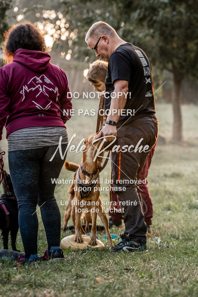 nelerasche_slaw24Sa_42 | nelerasche