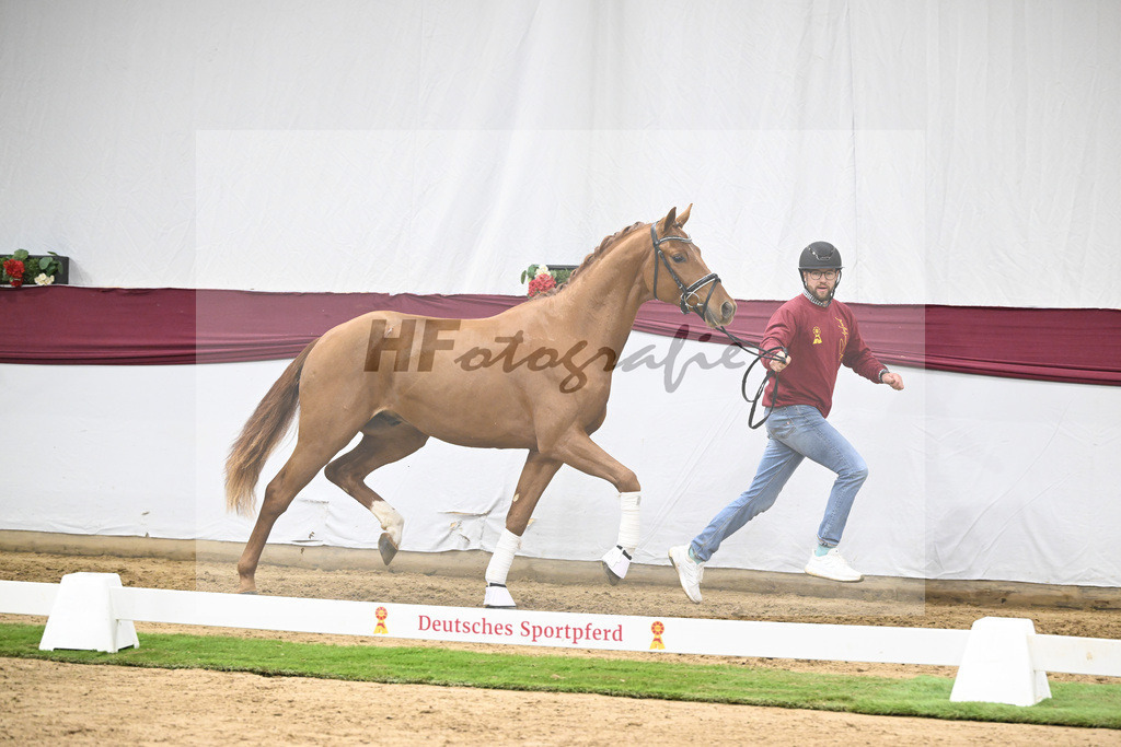 Kat-Nr. 135 Value x For Romance I_Drews Reutalmuehle eGbR_47254569 | hf-fotografie - Realisiert mit Pictrs.com