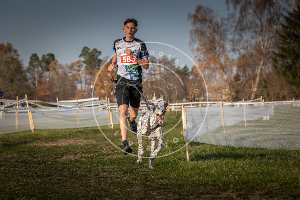 CaniXpix_0L8A9594 | Hundefotografie, Tierfotograf, Pfotenfotografie, Fotoshooting Hund, Hunde Portrait, Hundesport, Hundeportraits, Heideshooting, Hunde, Sportfotograf, Hundefotograf, Turnierhundsport, THS,  - Realisiert mit Pictrs.com