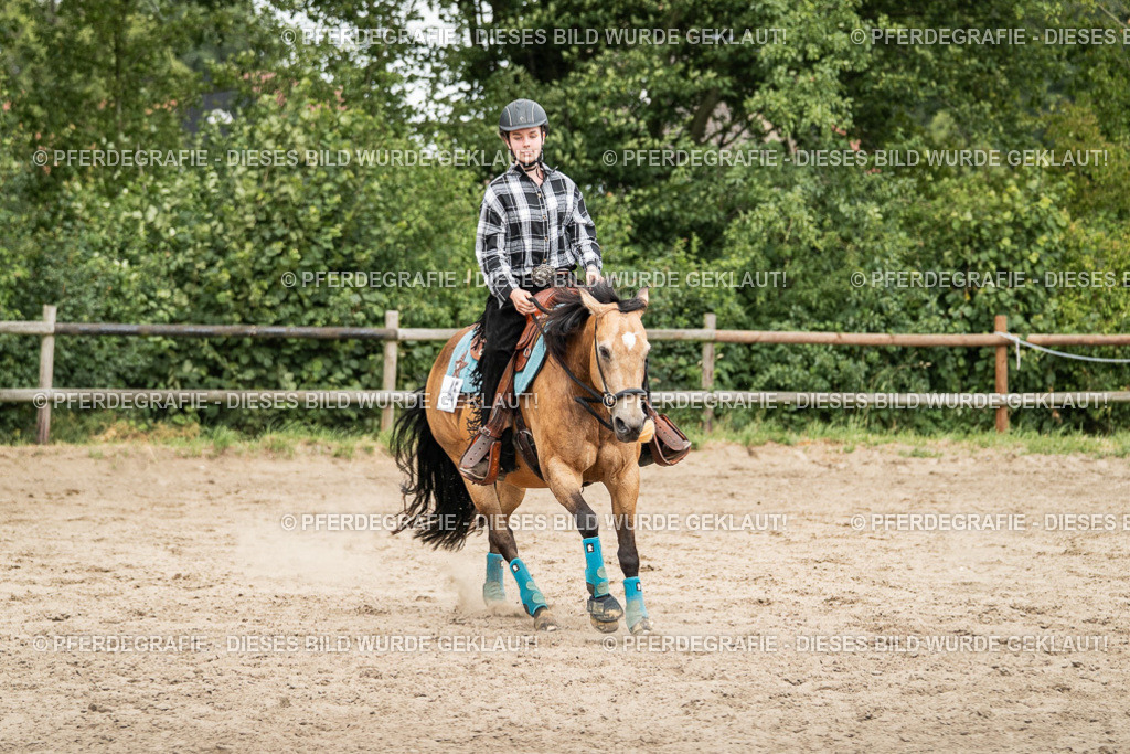 DSC03966 | Pferdegrafie