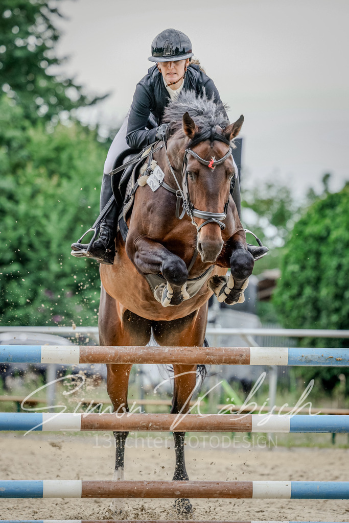 20250706-_3LI2785 | Tierfotografie Pferde, Hunde, Katzen, Haustiere.
Turnierfotografie Reitturniere, Reiten, Springreiten, Dressur in Hanau, dem Main-Kinzig-Kreis und dem Rhein-Main- Gebiet um Frankfurt