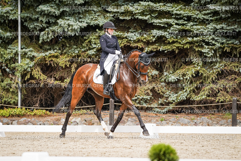 DSC06600 | Pferdegrafie