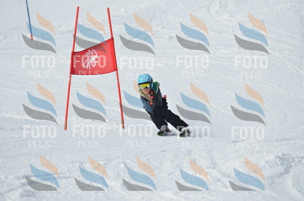 D8596 | holidayphoto