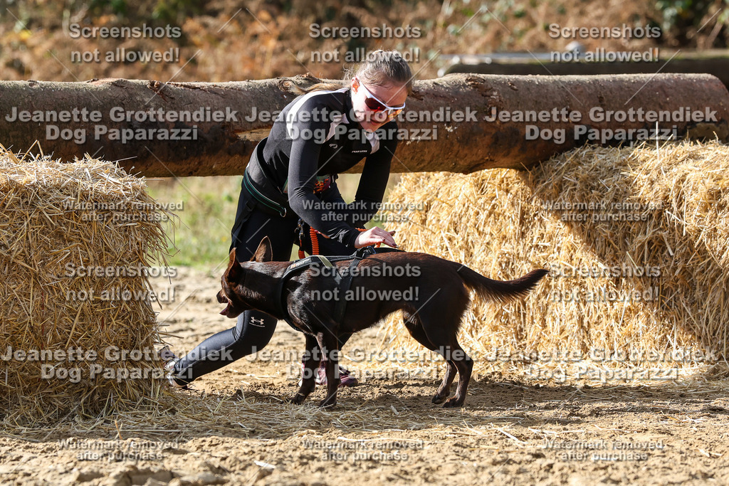 Dog Paparazzi - Strongdog 10-25-5681 | Dog Paparazzi Jeanette Grottendiek Fotografie & Videografie - Realisiert mit Pictrs.com