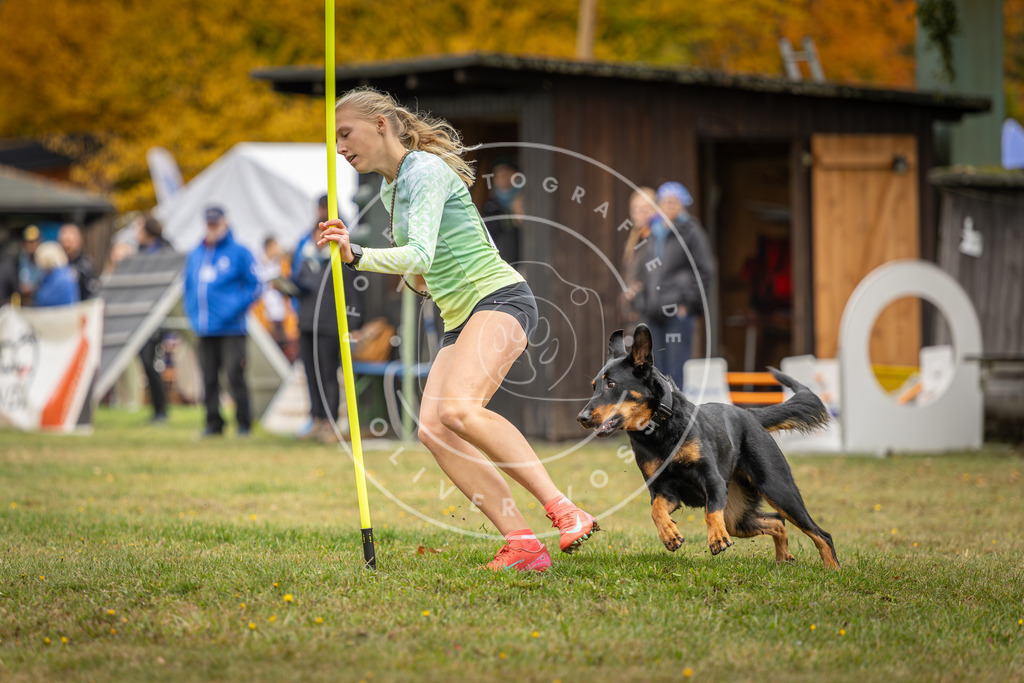 Pfotenfotografie_DV3A3299 | Hundefotografie, Tierfotograf, Pfotenfotografie, Fotoshooting Hund, Hunde Portrait, Hundesport, Hundeportraits, Heideshooting, Hunde, Sportfotograf, Hundefotograf, Turnierhundsport, THS,  - Realisiert mit Pictrs.com