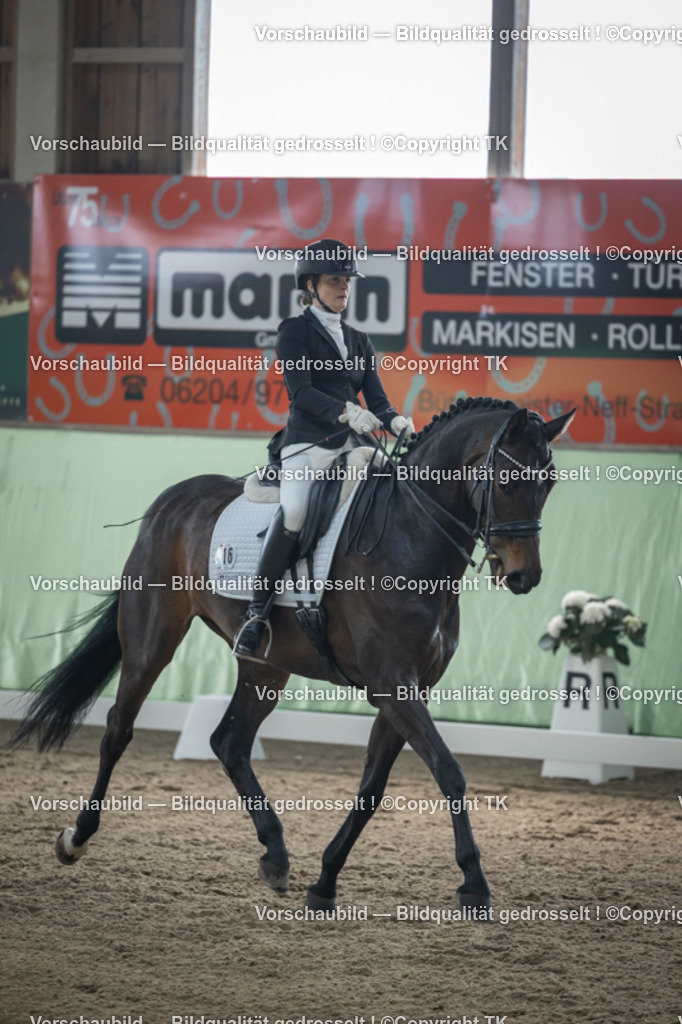 _D5A4688 | Emotionale Pferde- & People-Fotografie rund um Heidelberg, Leimen & Umgebung. Natürliche Fotos von Pferd, Mensch & Familie. Jetzt Termin sichern!