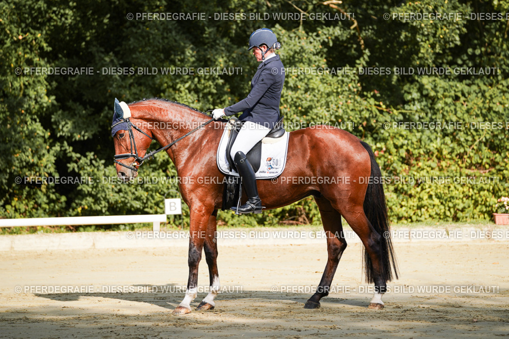 DSC07504 | Pferdegrafie