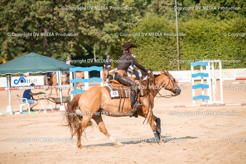 ZS2_8765 | dv-media-shop - Realisiert mit Pictrs.com