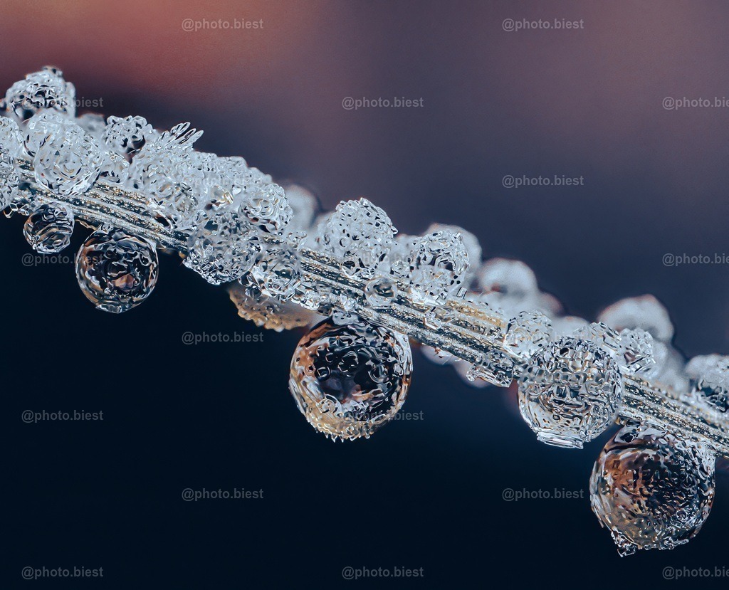 Wassereis-Kugeln | Gefrorene Wassertropfen aus einem Grashalm. - Realisiert mit Pictrs.com