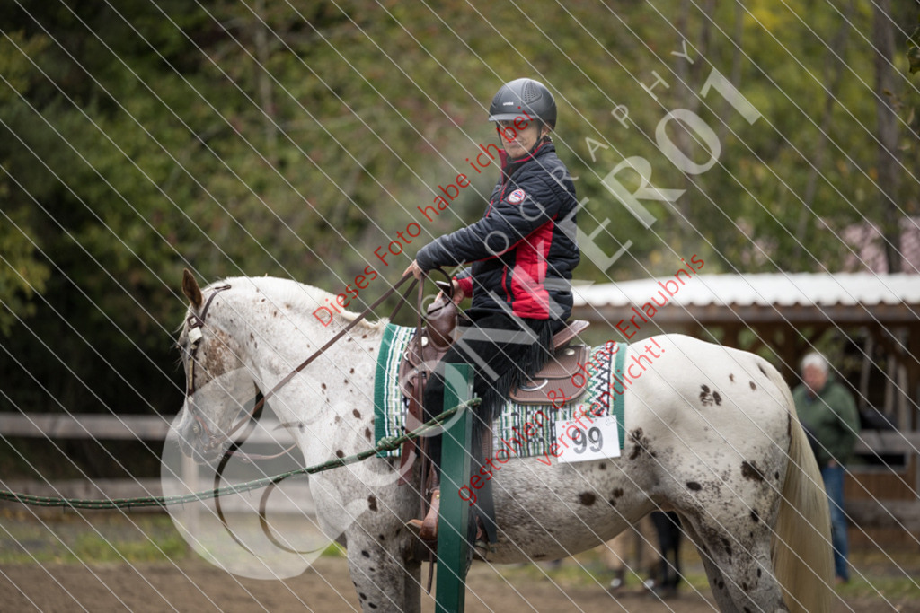 CON_9487 | Sport-, Event- und Tierfotos in Profiqualität. Einfach auswählen, bestellen und herunterladen. Dein Moment – perfekt festgehalten.