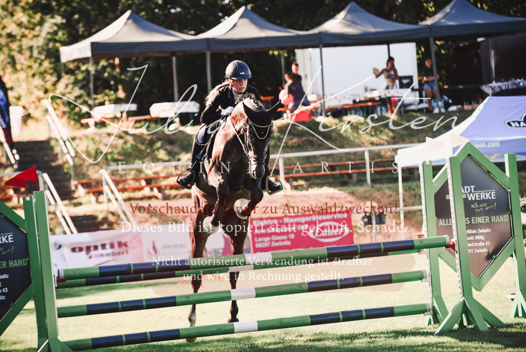 DSC_2183 | Pferde- und Turnierfotografie in Westsachsen. Pferdeportraits, Auftragszeichnungen und intuitive Kunst.