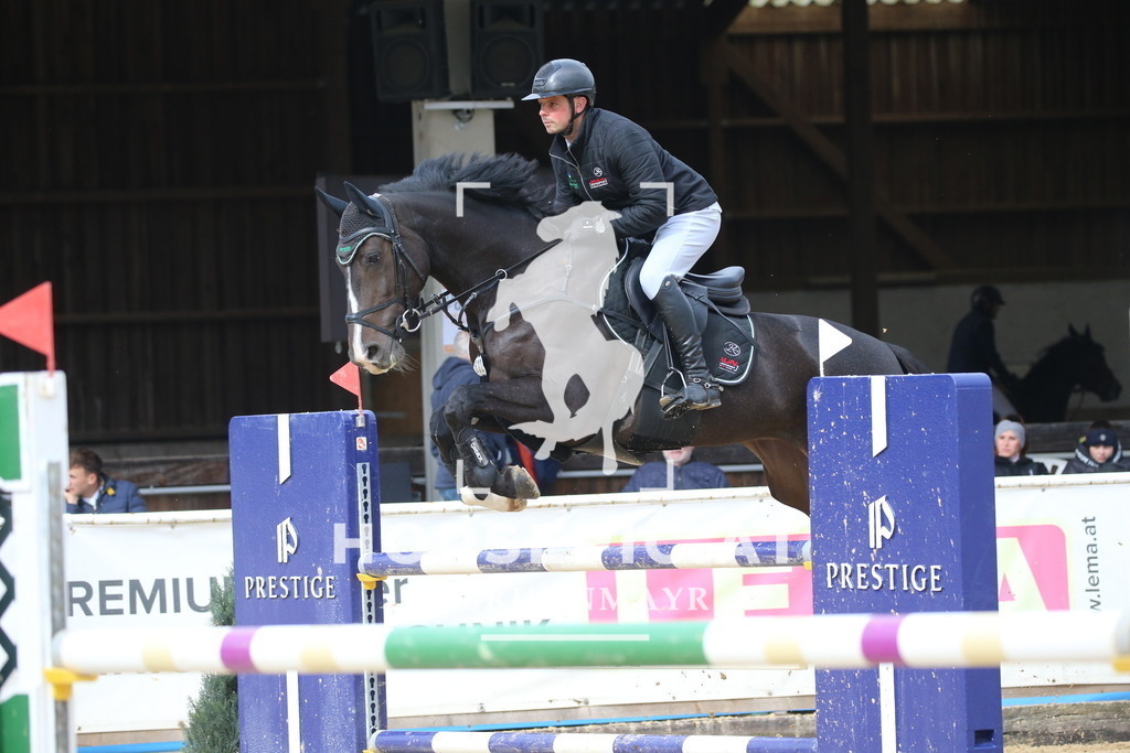 DL2Q0895 | Willkommen bei Brunnmayr - Design & Fotografie – Ihrem Spezialisten für Reitturniere und Pferdeveranstaltungen in Oberösterreich, Salzburg und Bayern! Seit über 17 Jahren sind wir leidenschaftlich dabei.