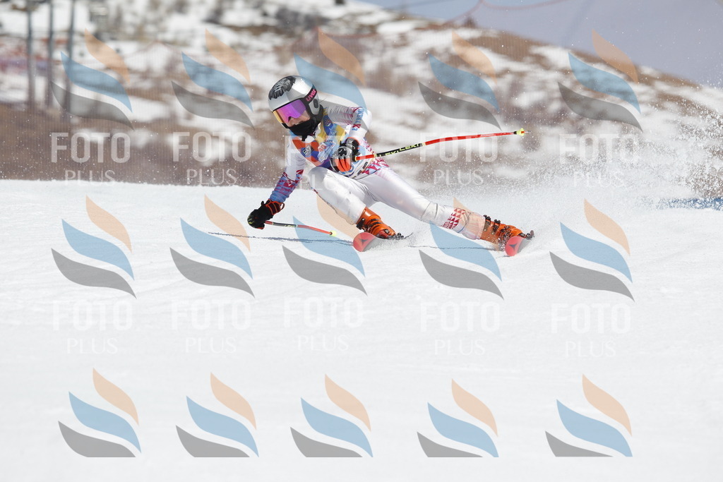 _U3G1360 | holidayphoto