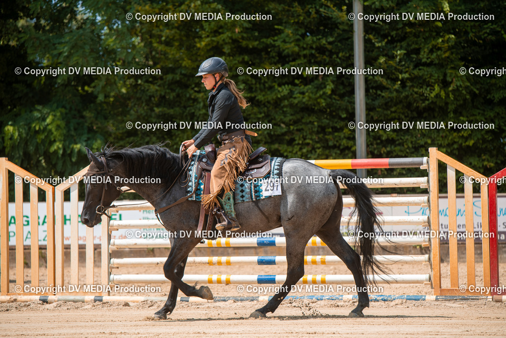 ZS2_8239 | dv-media-shop - Realisiert mit Pictrs.com