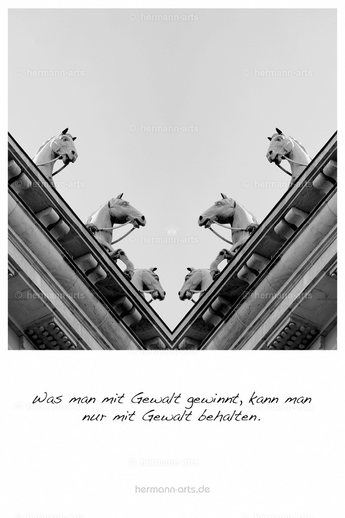 PK_Zitate_10x15_BW-036 | Photo Foto Kunst Art schwarzweiss Bilder Rheine Münster Berlin Blumen 