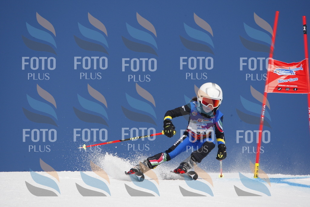 _W1G1298 | holidayphoto