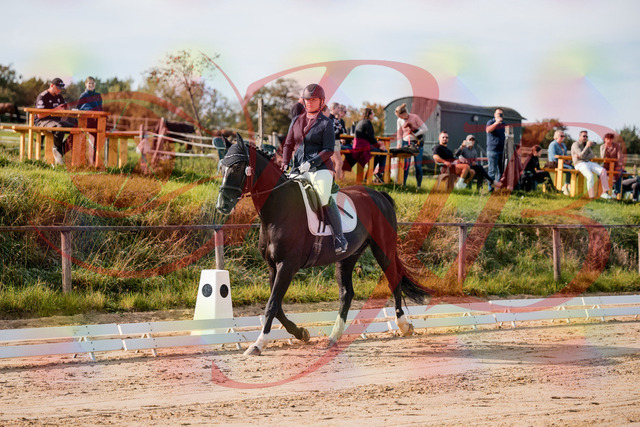 2026_10_03_Siefer-Hof_113257_Z63_19454201 | Professionelle Reitsport-, Turnier- und Eventfotografie von Robert Broda. Galerien mit ausgewählten und bearbeiteten Bildern direkt online ansehen und bestellen.