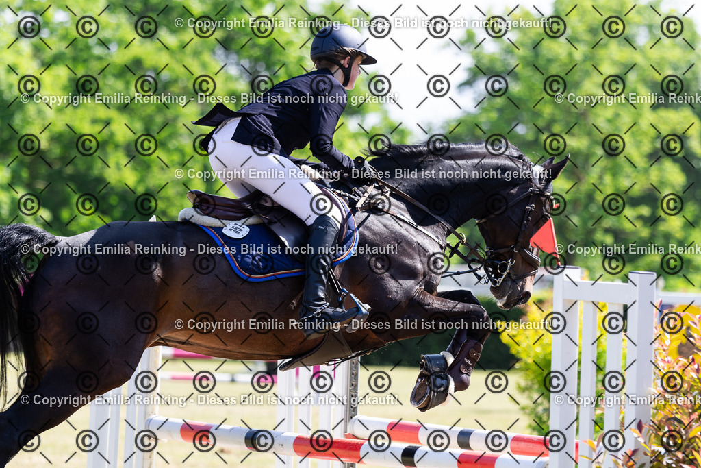 CL5A7301 | Emilia Reinking Fotografie - Realisiert mit Pictrs.com