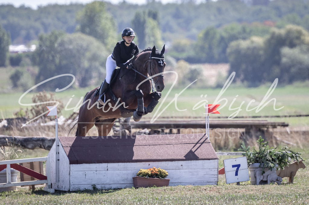 20260906-_3LI4204 | Tierfotografie Pferde, Hunde, Katzen, Haustiere.
Turnierfotografie Reitturniere, Reiten, Springreiten, Dressur in Hanau, dem Main-Kinzig-Kreis und dem Rhein-Main- Gebiet um Frankfurt