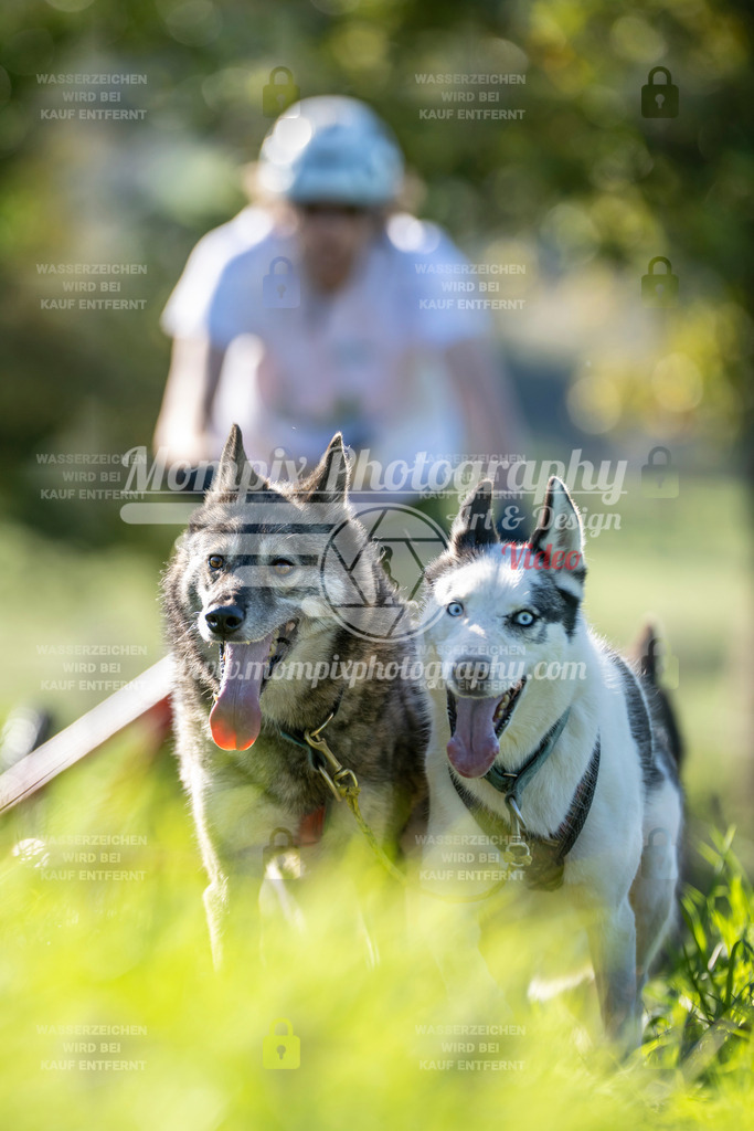 MompixPhotography_20TSB_E3_Kart-18 | PayLife