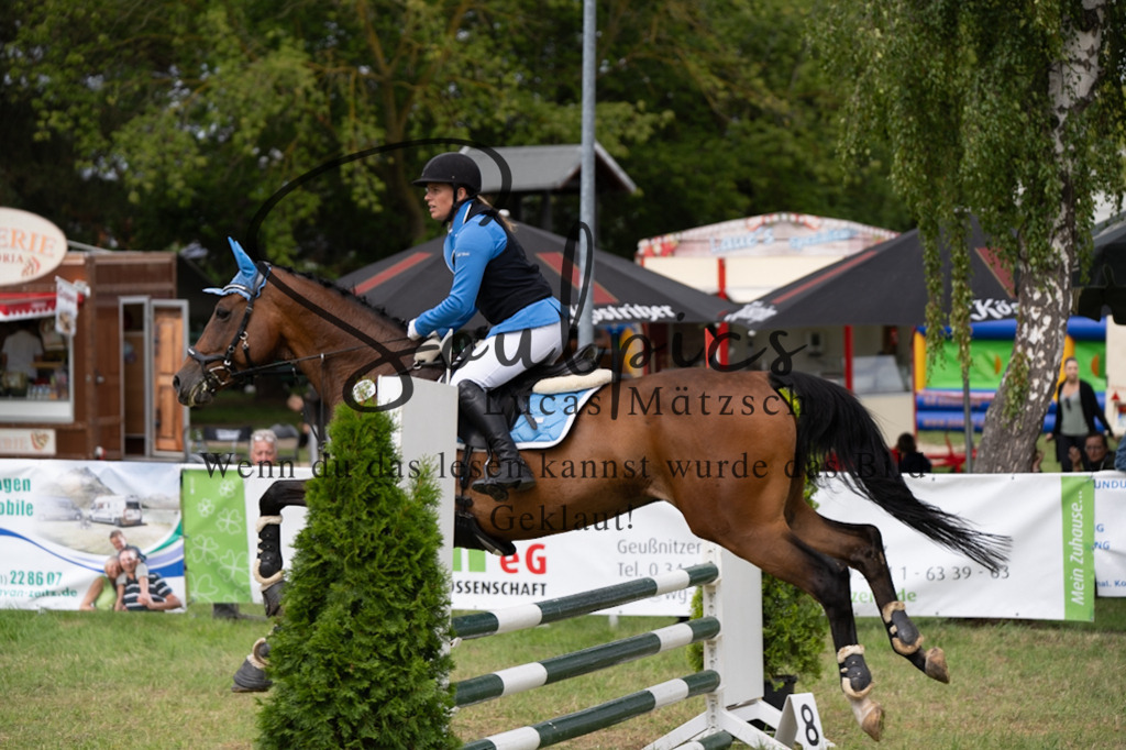 A7V05478 | Pferdefotograf