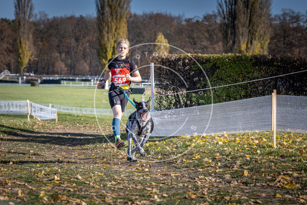 CaniXpix_DV3A8846 | Hundefotografie, Tierfotograf, Pfotenfotografie, Fotoshooting Hund, Hunde Portrait, Hundesport, Hundeportraits, Heideshooting, Hunde, Sportfotograf, Hundefotograf, Turnierhundsport, THS,  - Realisiert mit Pictrs.com