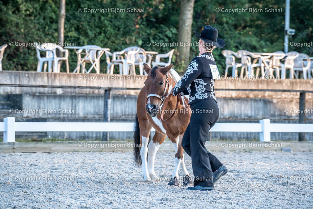 HOB07674 | BS-foto
